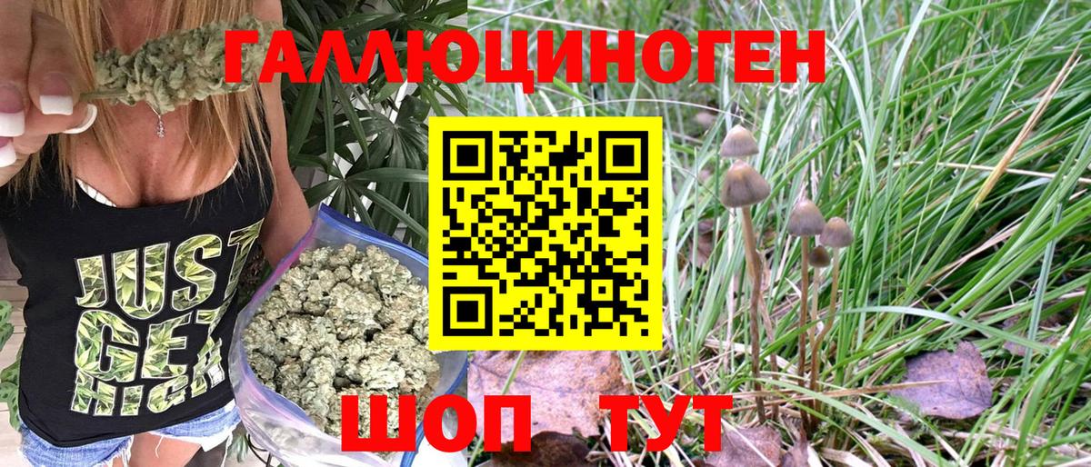 Псилоцибиновые грибы Magic Shrooms Кудрово